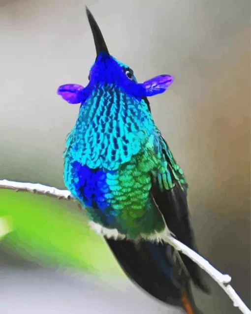 Blue Green Hummingbird Diamond Painting