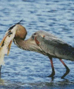 Blue Heron Eating Fish Diamond Painting