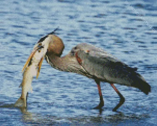 Blue Heron Eating Fish Diamond Painting