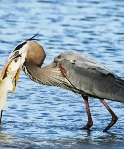 Blue Heron Eating Fish Diamond Painting