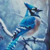 Blue Jay In Snow Diamond Painting