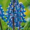 Blue Lupine Flowers Diamond Painting