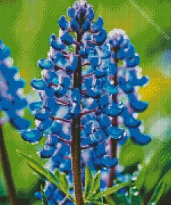 Blue Lupine Flowers Diamond Painting