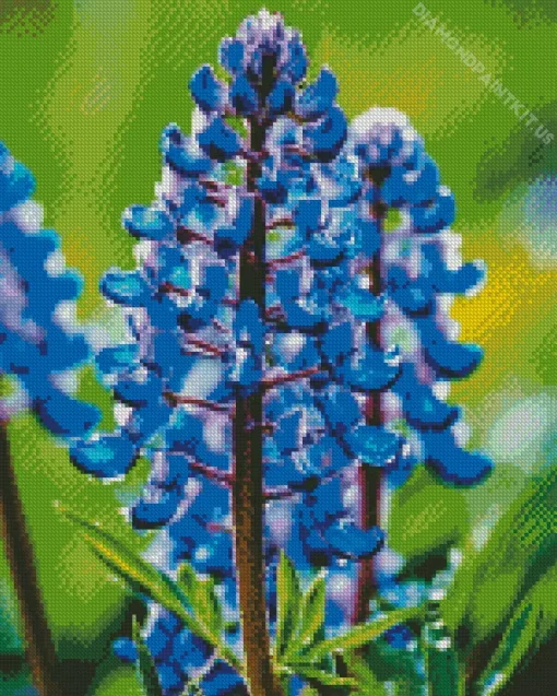 Blue Lupine Flowers Diamond Painting