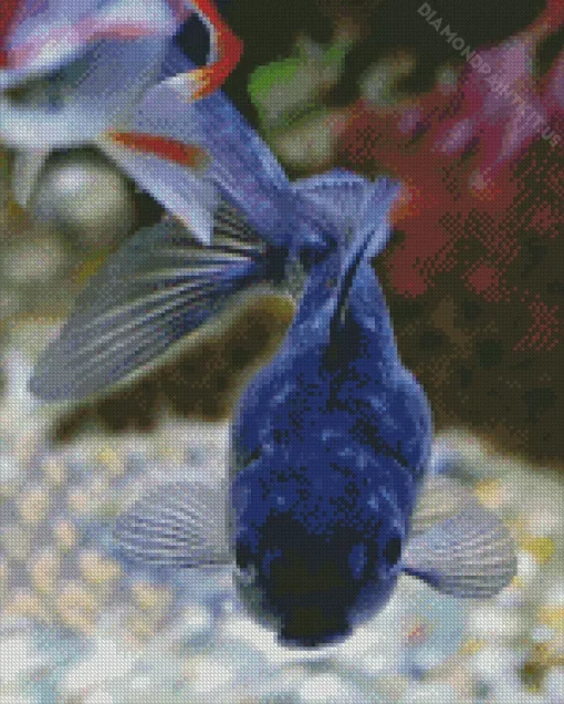 Blue Oranda Fish Diamond Painting