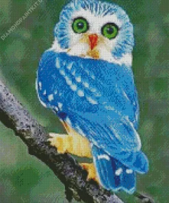 Blue Owl In The Philippines Diamond Painting