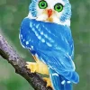 Blue Owl In The Philippines Diamond Painting