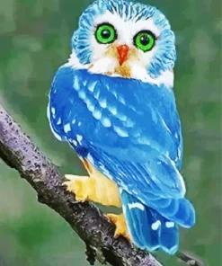 Blue Owl In The Philippines Diamond Painting