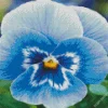 Blue Pansy Flower Diamond Painting