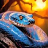 Blue Pit Viper Diamond Painting