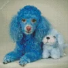 Blue Poodle Dog Diamond Painting