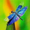 Blue Purple Dragonfly Diamond Painting