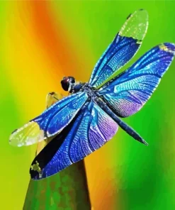 Blue Purple Dragonfly Diamond Painting