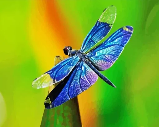 Blue Purple Dragonfly Diamond Painting