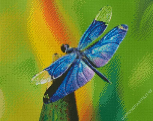 Blue Purple Dragonfly Diamond Painting