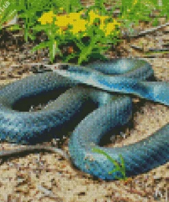 Blue Racer Snake Diamond Painting