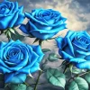 Blue Roses Diamond Painting