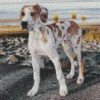 Fawnequin Great Dane Diamond Painting