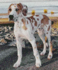 Fawnequin Great Dane Diamond Painting