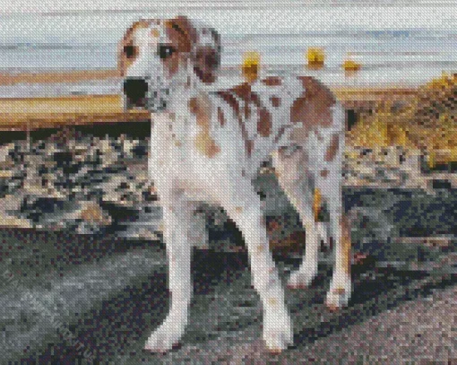 Fawnequin Great Dane Diamond Painting