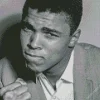 Monochrome Muhammad Ali Diamond Painting