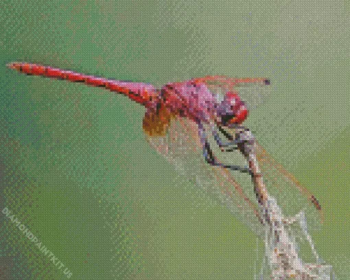 Purple Dragonfly Diamond Painting