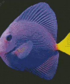 Purple Fish Diamond Painting