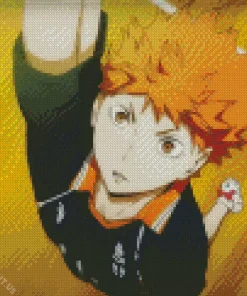 Shoyo Hinata Diamond Painting