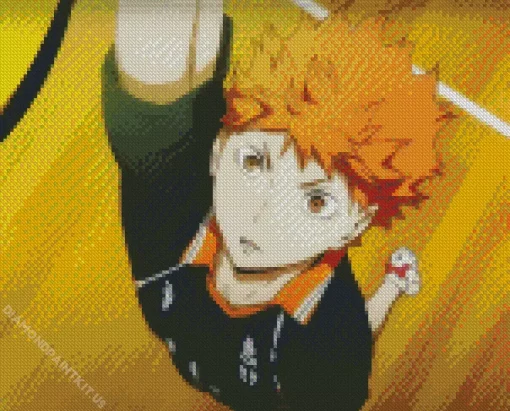 Shoyo Hinata Diamond Painting