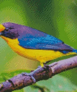 Yellow And Purple Bird Diamond Painting