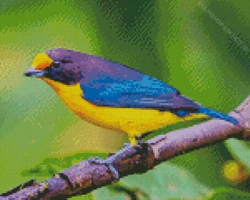 Yellow And Purple Bird Diamond Painting