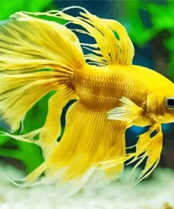 Yellow Betta Fish Diamond Painting