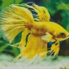 Yellow Betta Fish Diamond Painting