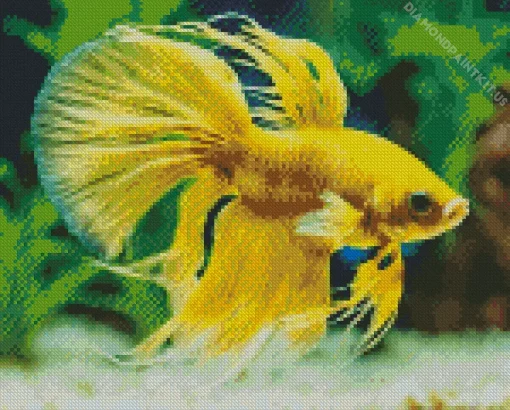 Yellow Betta Fish Diamond Painting