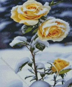 Yellow Roses In Snow Diamond Painting