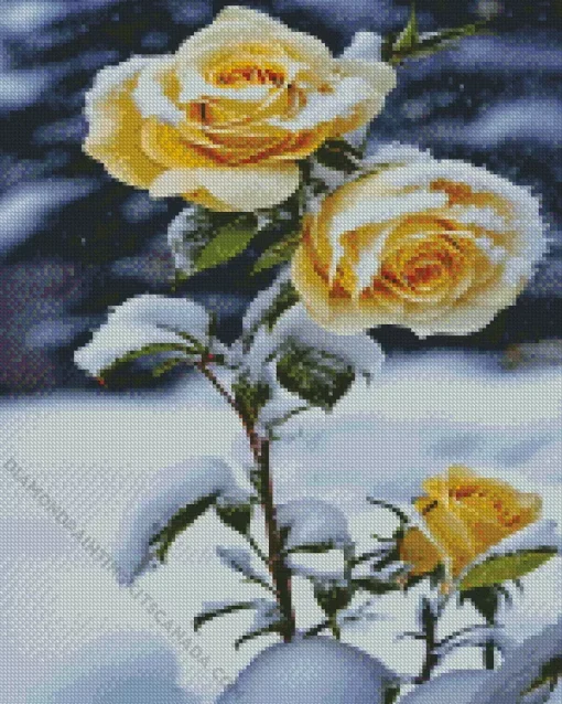 Yellow Roses In Snow Diamond Painting