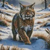 Bobcat in Snow Diamond Painting