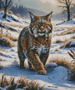 Bobcat in Snow Diamond Painting