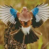 Eurasian Jay Bird Diamond Painting