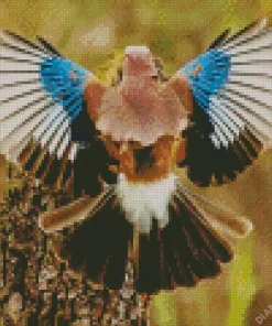 Eurasian Jay Bird Diamond Painting