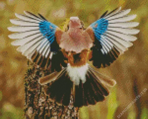 Eurasian Jay Bird Diamond Painting