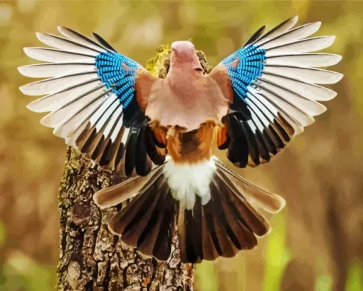 Eurasian Jay Bird Diamond Painting