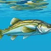 Haddock Fish Diamond Painting