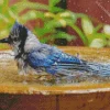 Bird Bath Diamond Painting