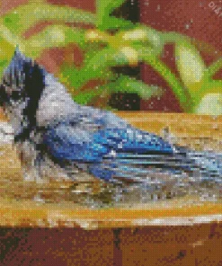 Bird Bath Diamond Painting