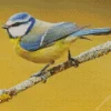 Bird Blue Tit Diamond Painting