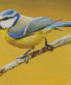 Bird Blue Tit Diamond Painting