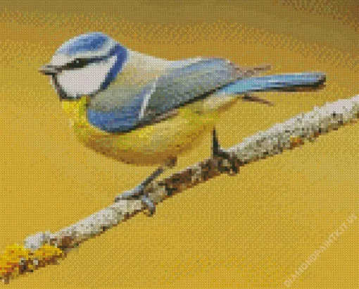 Bird Blue Tit Diamond Painting