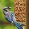 Bird Feeder Diamond Painting