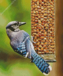 Bird Feeder Diamond Painting